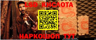 шишки Лесосибирск