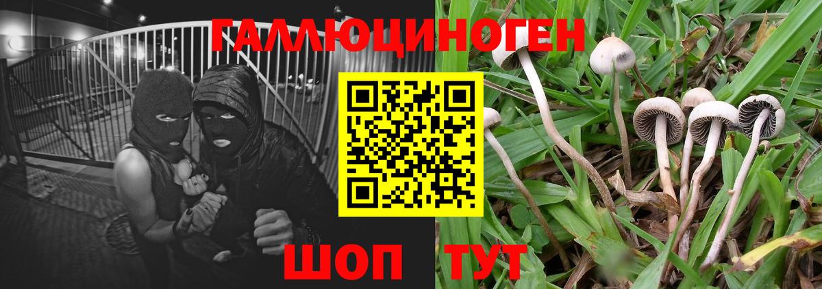 Псилоцибиновые грибы MAGIC MUSHROOMS Карасук