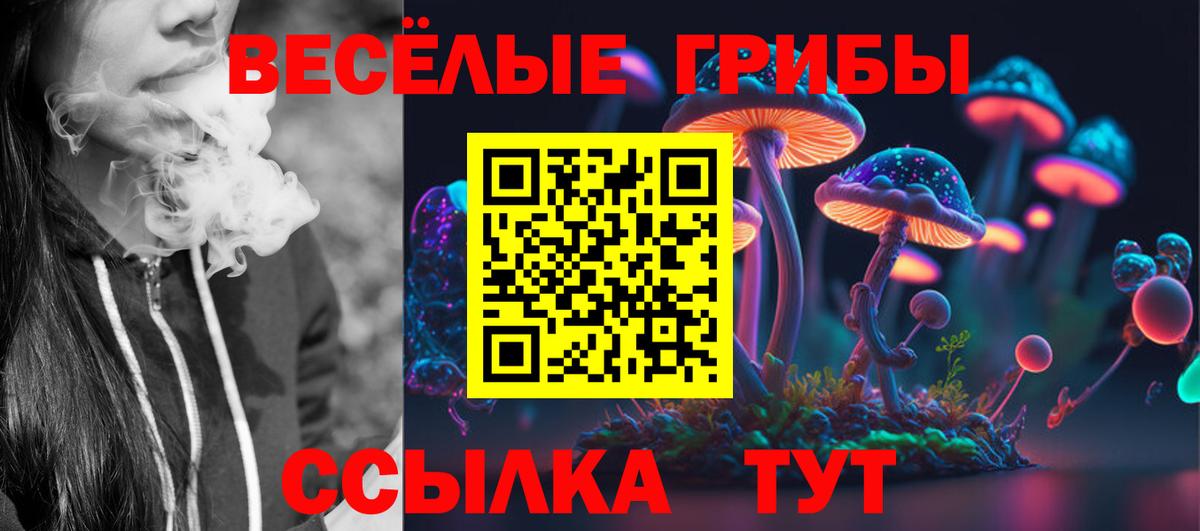 Галлюциногенные грибы GOLDEN TEACHER  Вход с VPN  Карасук  Галлюциногенные грибы ЛСД 